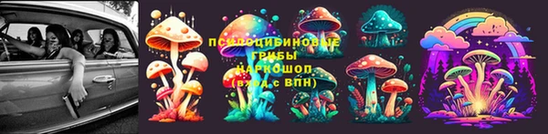 spice Лабытнанги