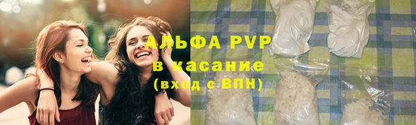 не бодяженный Ладушкин