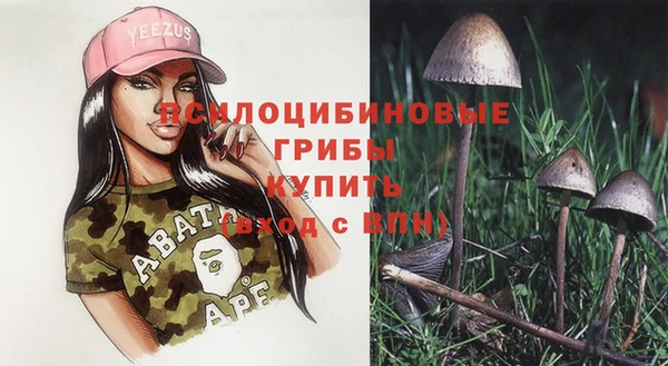 не бодяженный Ладушкин