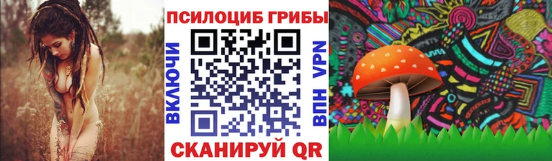 Псилоцибиновые грибы мухоморы  ОМГ ОМГ маркетплейс  Мглин 